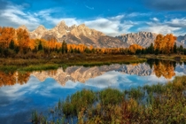 Autumnal Colors of the Tetons in Grand Teton National Park  by Jean-Francois Chaubard