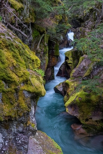 Avalanche Creek in Glacier National Park - Dreaming of spring 