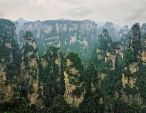 Avatar Mountains Zhangjiajie Drenched in the rain amp day clouded in mist but would come  times for these views  x  