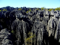 Awesome rock formation Tsingy De Bemaraha National Park Madagascar 