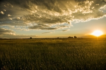 Awesome sunset in a field at Laramie Wyoming