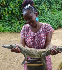 Baby Crocodile In Mamba Village Nairobi 