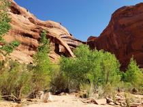Backpacking Coyote Gulch Canyons of Ecalante Utah View of Cliff Arch  x