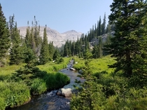 Backpacking the Bighorn Mountain Wilderness 
