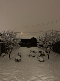 Backyard last winter - Toronto Canada
