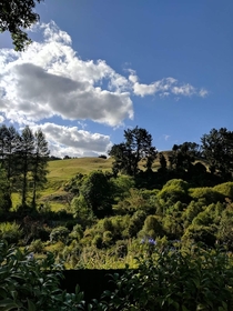 Backyard of our Air BNB Rotorua New Zealand 
