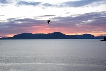 Bald Eagle over the Alaska sunset