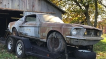 Barn find  Ford Mustang