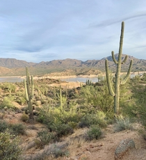 Bartlett Lake in AZ 
