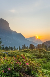 Bathed in Golden Light at AM as the Sun Rises Over the Italian Dolomites 