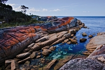 Bay of Fires Tasmania  love the contrast between the crimson rocks and the turquoise waters 