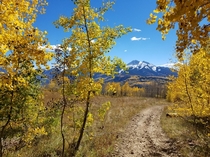Beautiful Aspen Colorado during the fall  