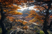 Beautiful autumn colours in Patagonia  marcograssiphotography