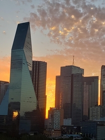 Beautiful Dallas morning 