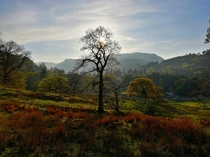 Beautiful evening light in the Lake District 