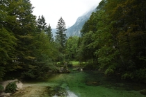 Beautiful fairylike river to Lake Bohinj   Slovenia  x