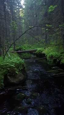 Beautiful forest Finland Kauhajoki Katikankanjoni 