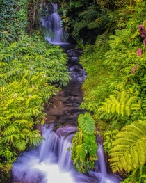 Beautiful Garden Waterfall Big Island Hawaii 