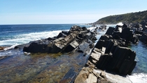 Beautiful Kangaroo Island coast x OC Sea lions rockpool