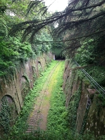 Beautiful old metro rail reclaimed by nature 
