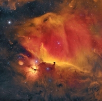 Beautiful pic of Orions Horsehead Nebula