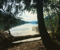 Beautiful place to camp on Sproat Lake Vancouver Island 
