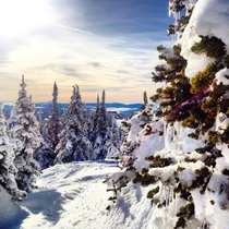 Beautiful route through the trees Big White Kelowna  by Beth P