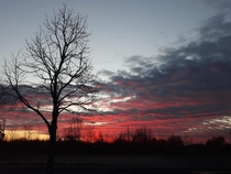 Beautiful sunrise in Oakland County Michigan
