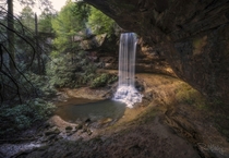 Beautiful waterfall in Jamestown TN  - Instagram alphatripz