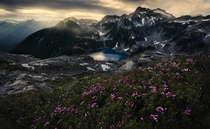 Beautiful wildflower gardens and a glacial lake in a remote part of Golden Ears Provincial Park Canada 
