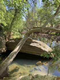Beaver Creek AZ 