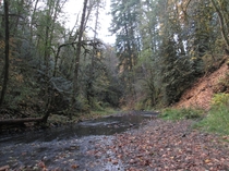 Beaver Creek OR   x 