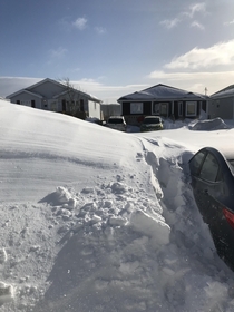 Before we started to dig out our cars Snomageddon  Newfoundland