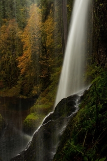 Behind the Autumn Veil -- Silver Falls State Park on a rainy fall morning 