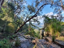Bellbird Falls Lookout Binna Burra section Lamington National Park Qld Australia 