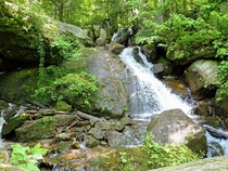 Bent Run Falls in Allegheny National Forest - Warren Pa 