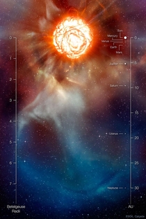 Betelgeuse when compared with our Solar System