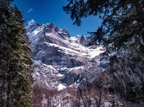 Between the Trees April Grindelwald Swiss x 