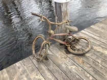Bicycle was abandoned in the water The spokes were entirely consumed by rust