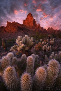 Big Red by Victor Carreiro An image of the Kofa Mountains of Western Arizona Those cactus are pretty but evil 