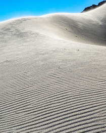 Big Sur Sand Dune