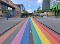 Biggest rainbow bike path in the world Utrecht Netherlands