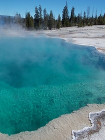 Black Pool hot spring in West Thumb Geyser Basin Yellowstone National Park 