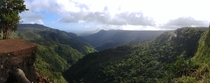 Black River Gorges National Park Mauritius  x