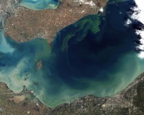 Blue-Green Algae bloom Lake Erie US 