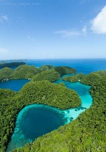 Blue hole from above in Micronesia Photo by Ippei amp Janine Naoi 