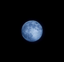 Blue Moon- August th Gets blue look because of tungsten setting on camera 