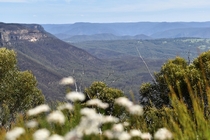 Blue Mountains National Park in NSW Australia 
