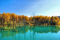 Blue Pond Hokkaido Japan 