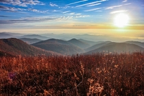 Blue Ridge Mountain Sunrise - Taken at Black Balsam Knob 